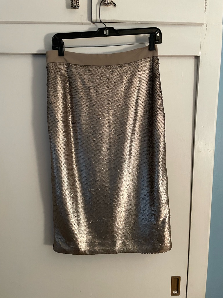 Banana Republic Silver Sequin Pencil Skirt